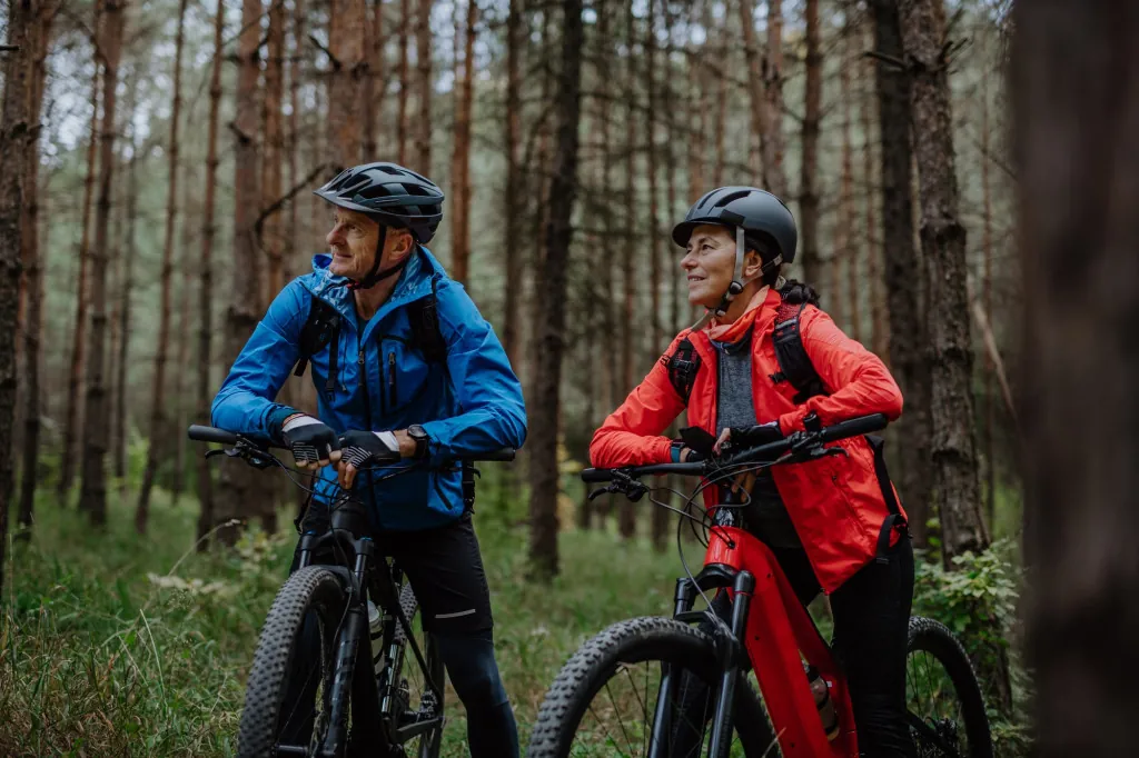 Beste fietsroutes in het New Forest