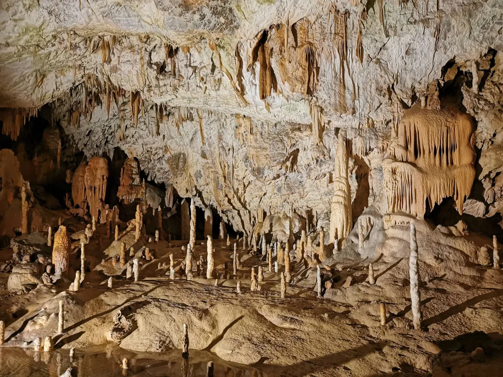 Hoe ziet het karstlandschap in Postojna eruit?