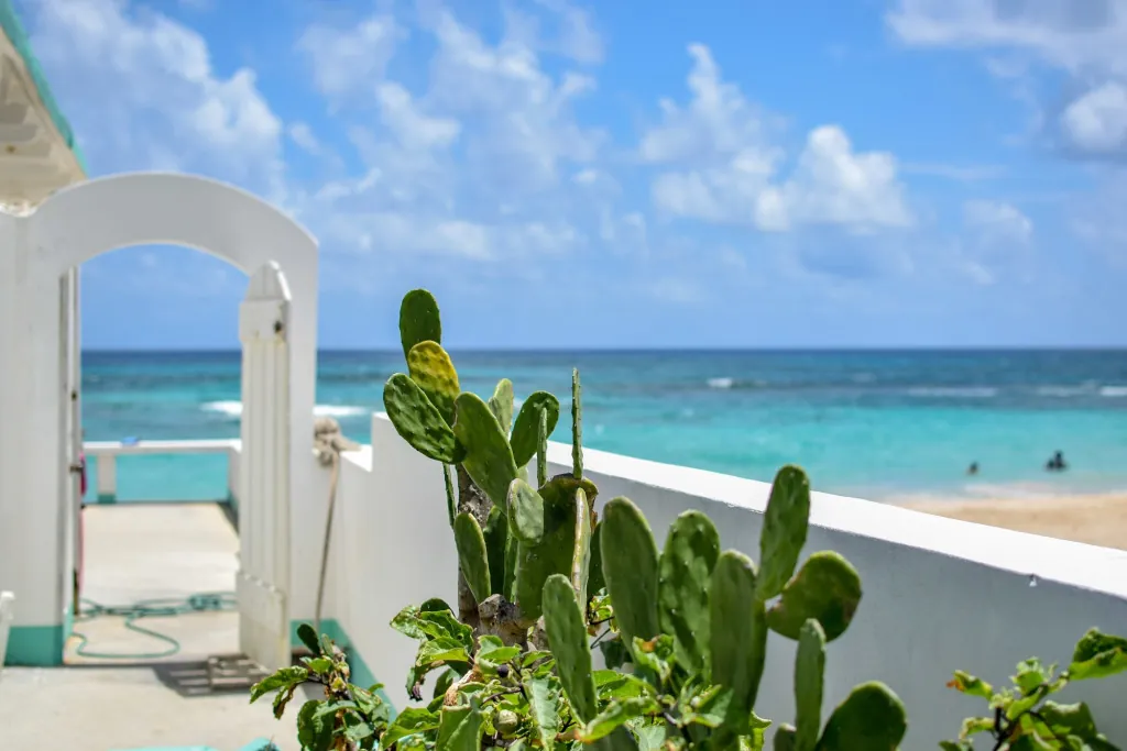 Hoe is het lokale leven op Naxos?