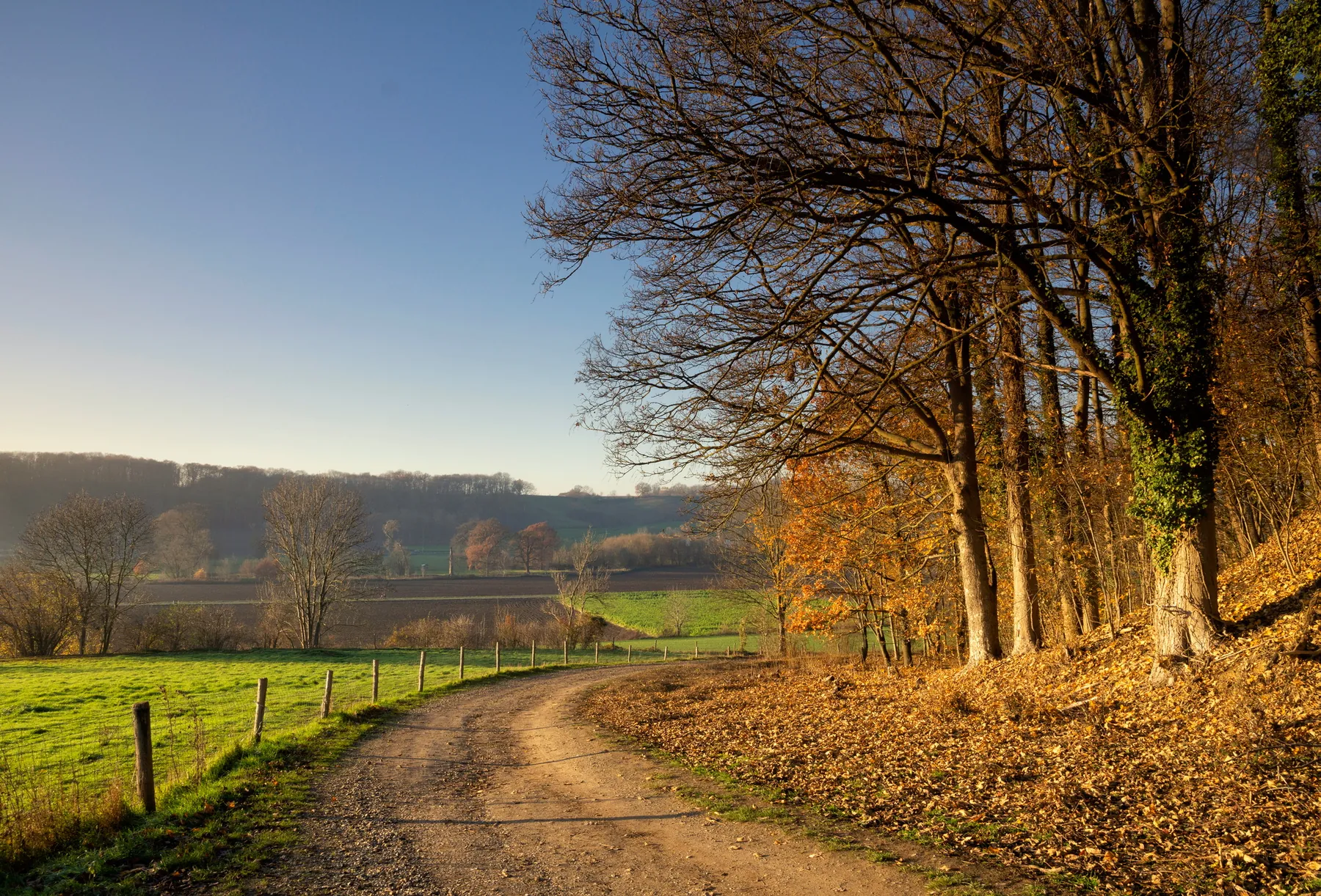 Wandelen en fietsen rond Maastricht: natuur vlak bij de stad