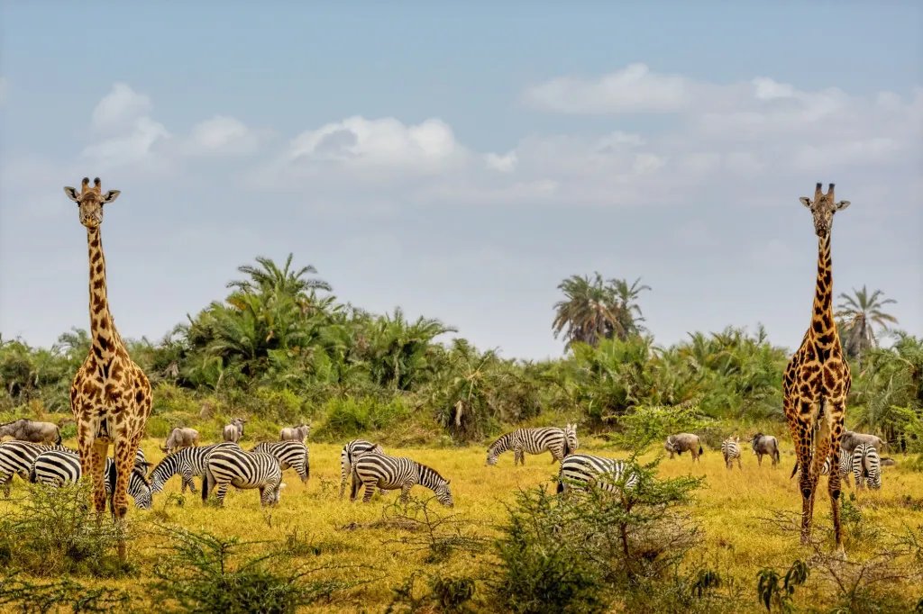 Nationaal park Brijuni: wat te zien en doen?