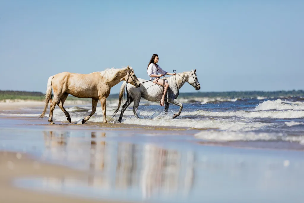 Paardrijden op het strand van Ameland