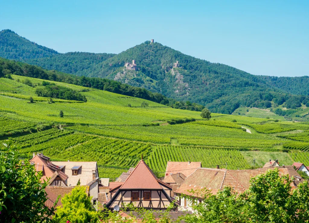 Elzas wijnroute vanuit Colmar