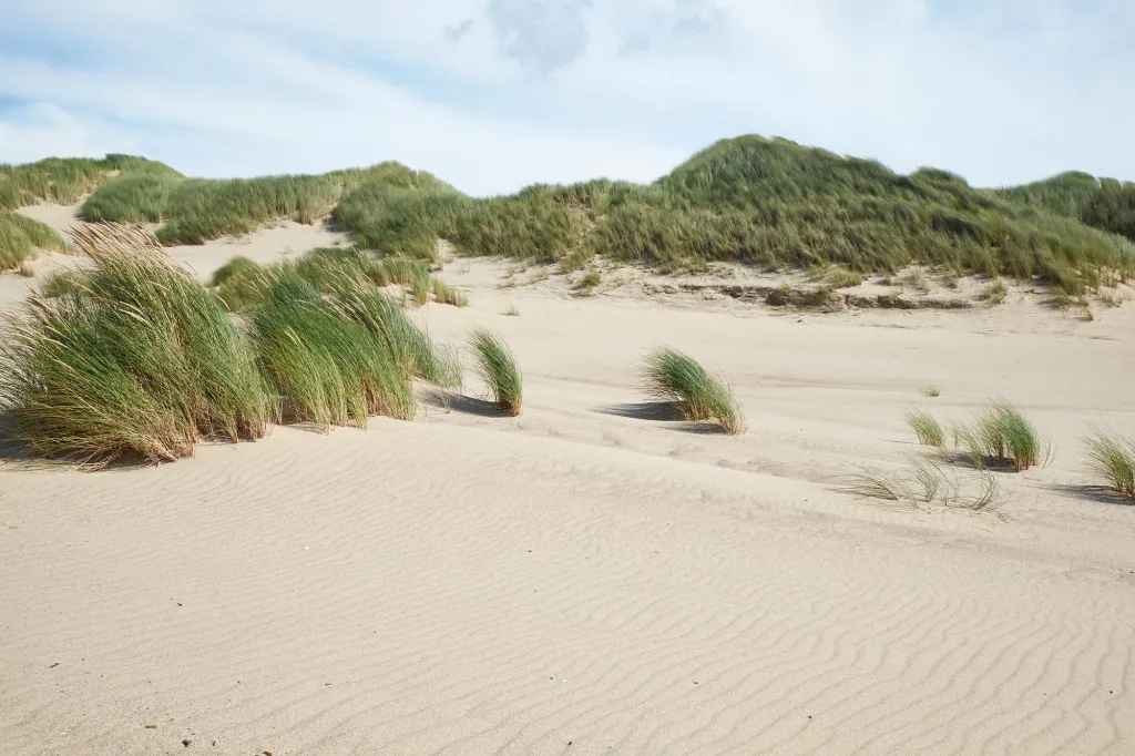 Wat zijn de Keltische velden bij Domburg?