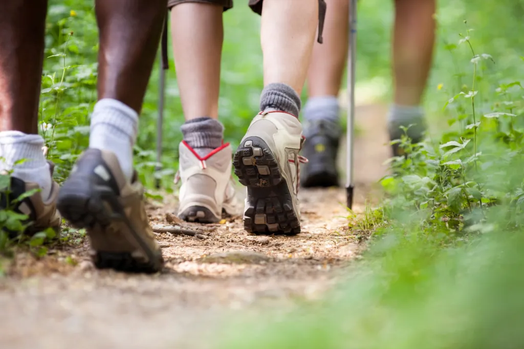 Langs de Druckerhofalm en Kleefeldalm wandelen