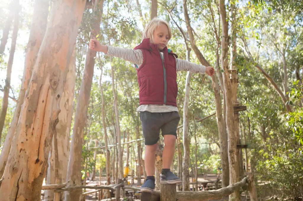 Natuureducatie voor kinderen in de Amelandse bossen