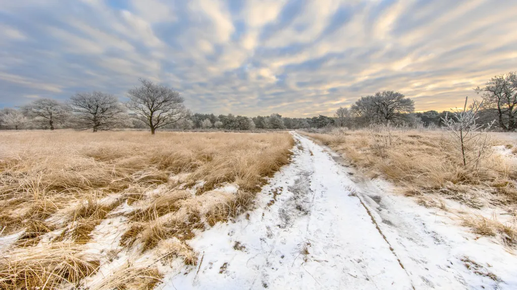 Hoe fiets je van Assen naar oude dorpen?