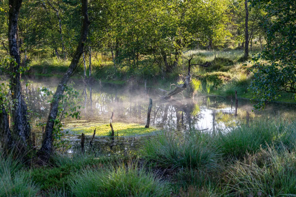 Wandelen in het Pietzmoor veenlandschap