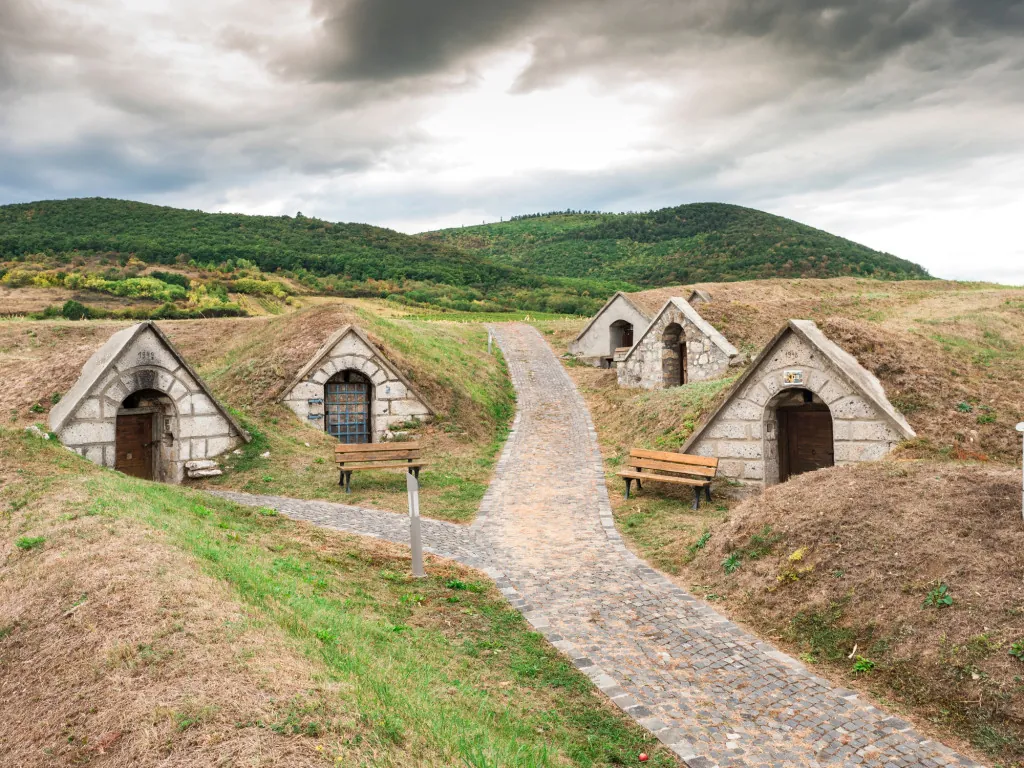 Wat te weten over het wijngebied Tokaj?