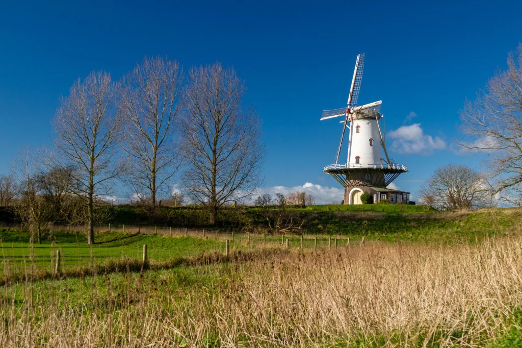 Historische smaken in de horeca van Veere