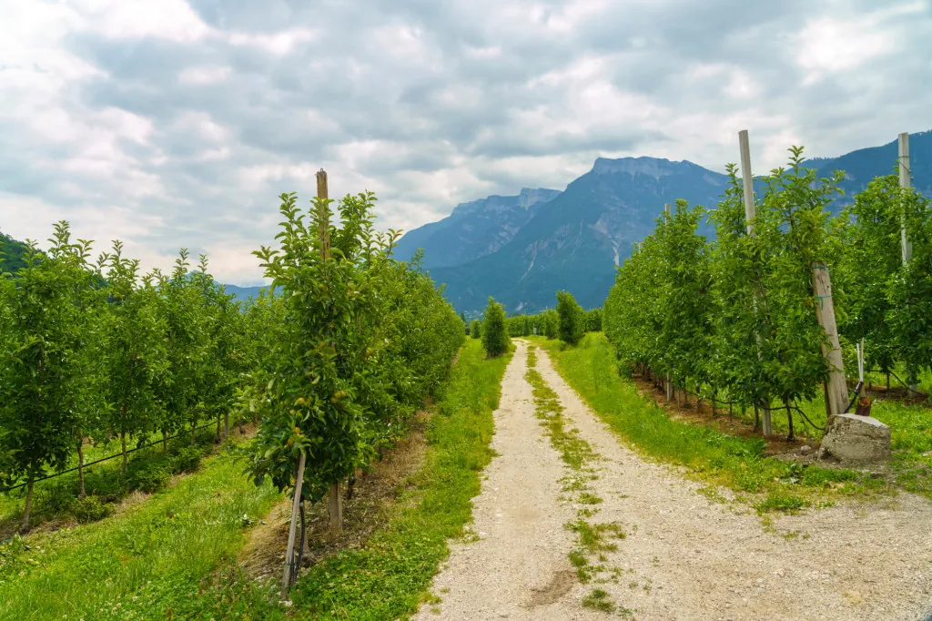 Fietsen langs historische dorpjes op de Valsugana-route