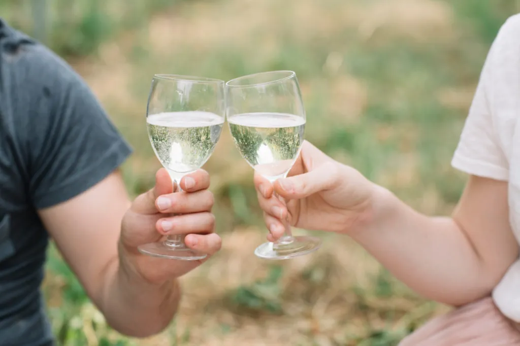 Rijd langs wijnvelden op de Strada del Prosecco