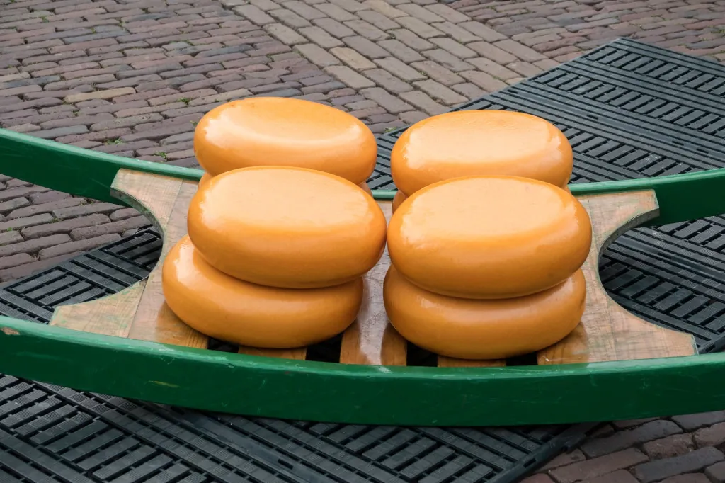 Kaasmarkt in Noord-Holland