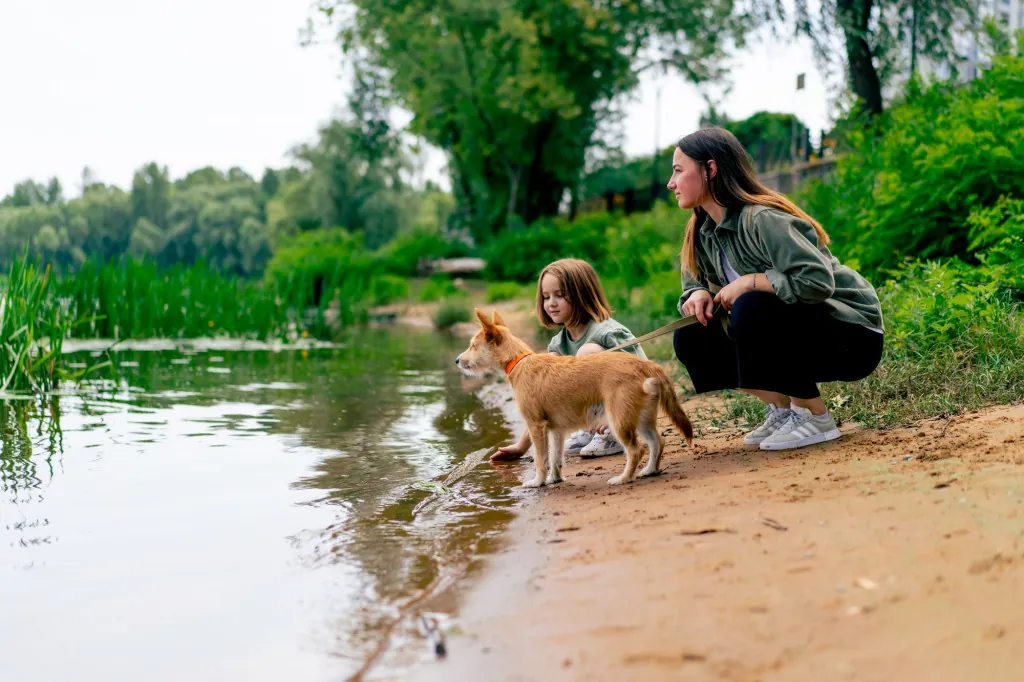 Wandelen aan de zuidkant van het Ossiacher Meer