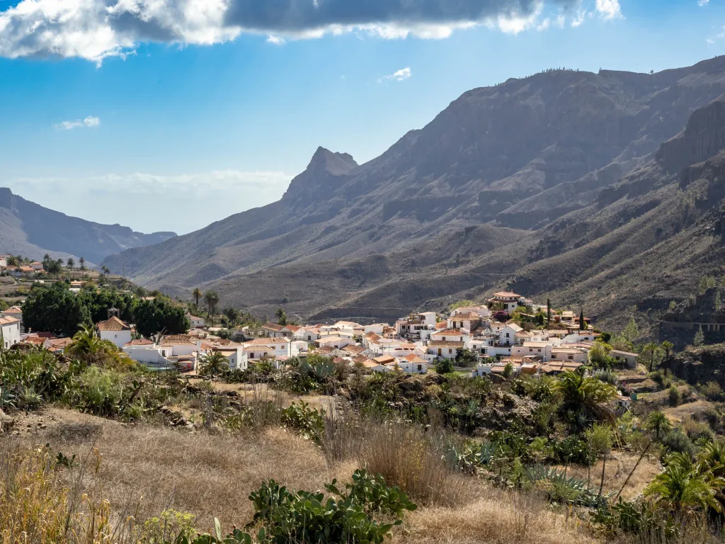 Fataga: cactussen in het woestijnklimaat van Gran Canaria