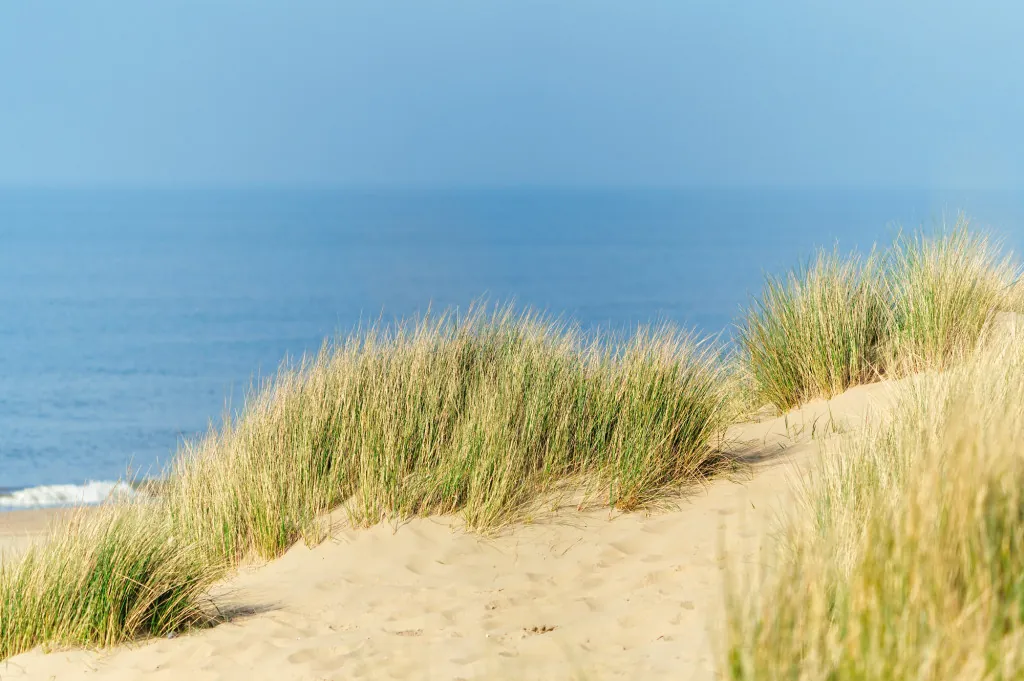 Waarom kiezen voor Westenschouwen strand?
