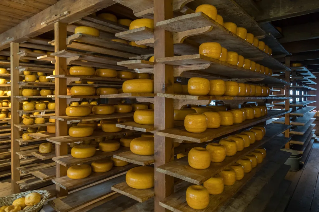 Wat te doen in Gouda: kaas, stroopwafels en meer