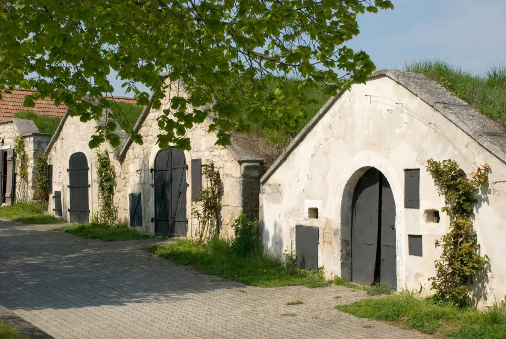 Hoe ontdek je Purbach per fiets?