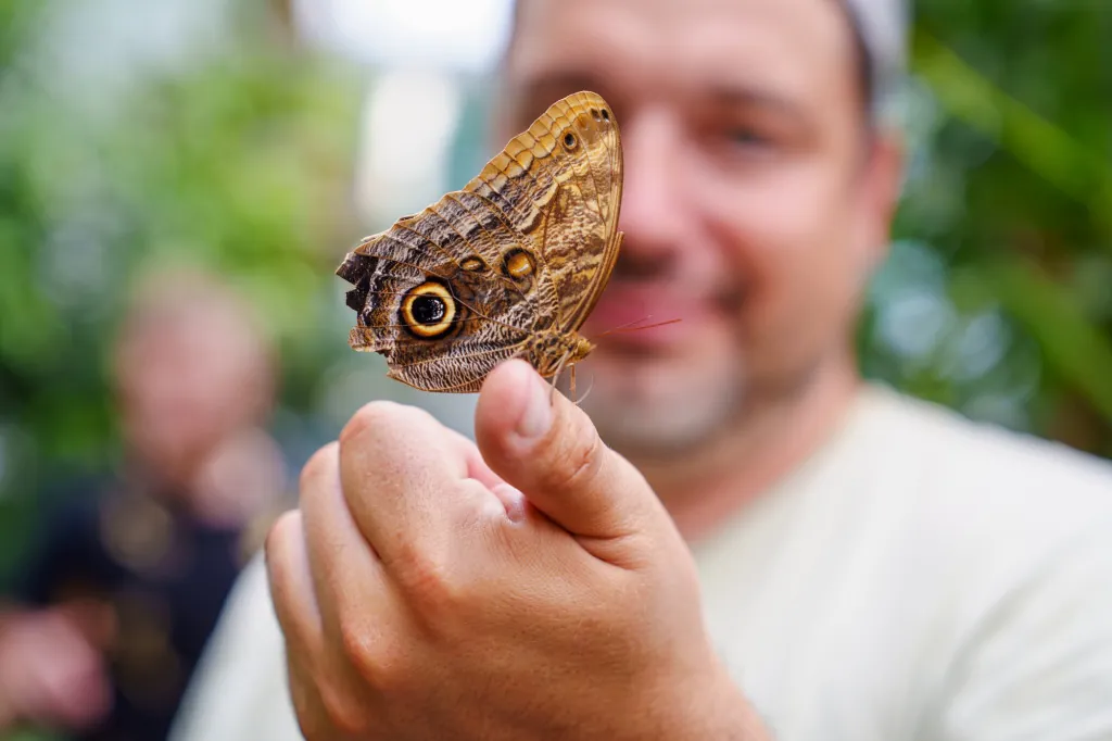 Vlinders bewonderen in de Stratford Butterfly Farm