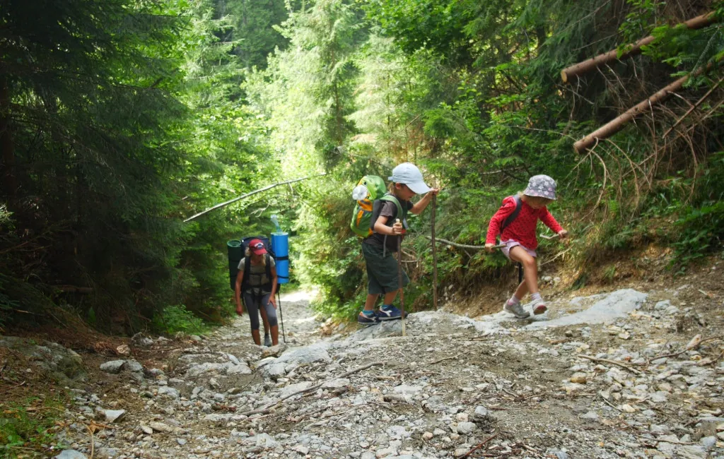 Wandelen in Giant Mountains National Park met kinderen