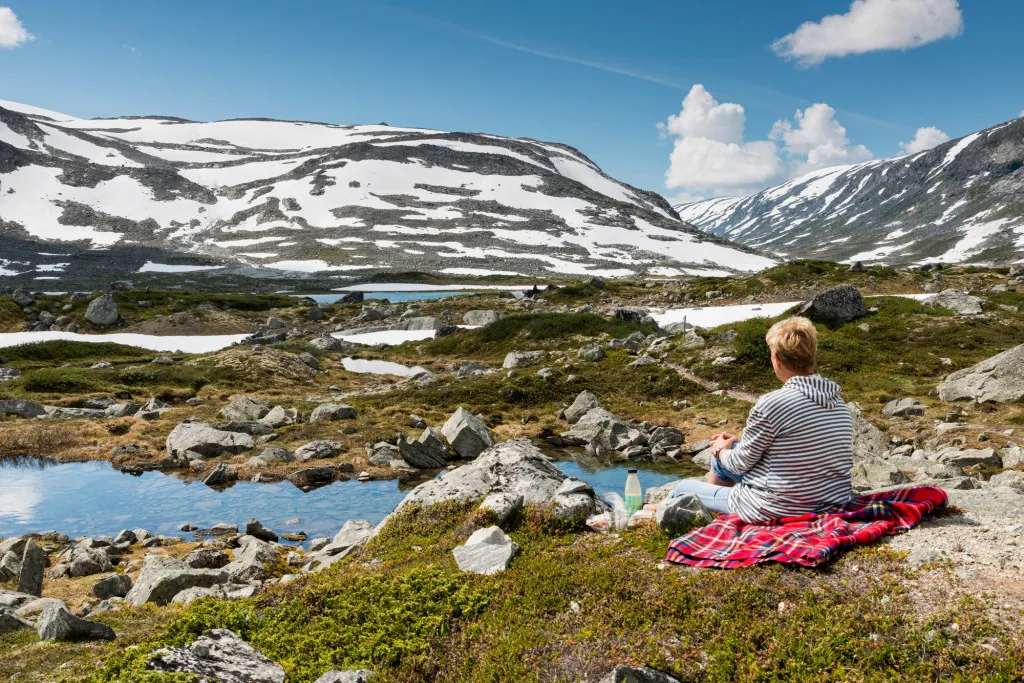 Een picknick aan de oevers van het fjord