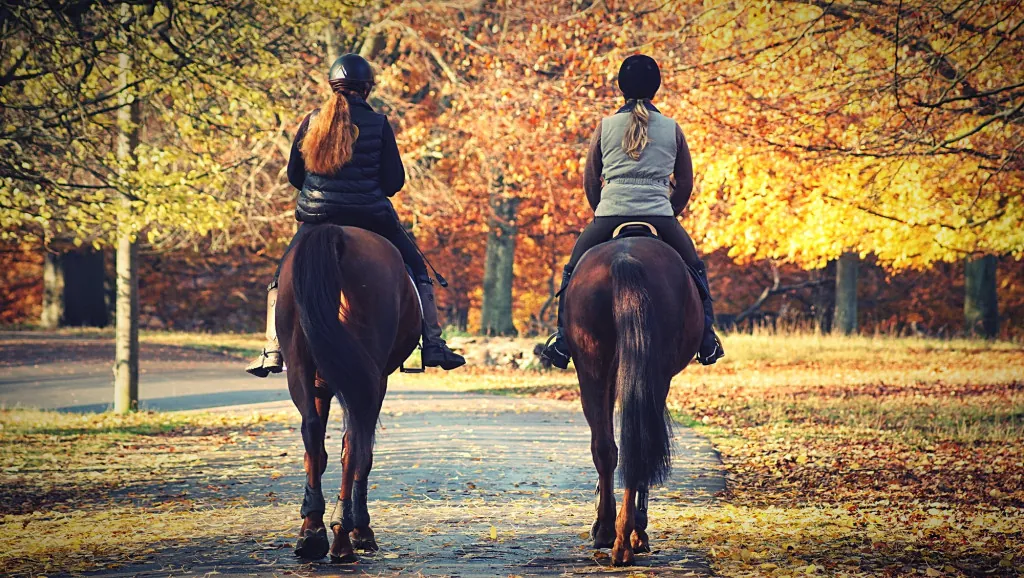 Te paard door het hoge Noorden