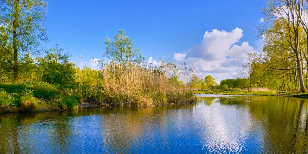 Activiteiten in Nationaal Park De Biesbosch