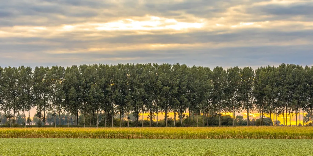 Hoe fiets je door het groene hart van Zeeuws-Vlaanderen?