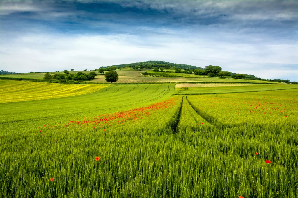 Ontdek de Auvergne, het groene hart van Frankrijk