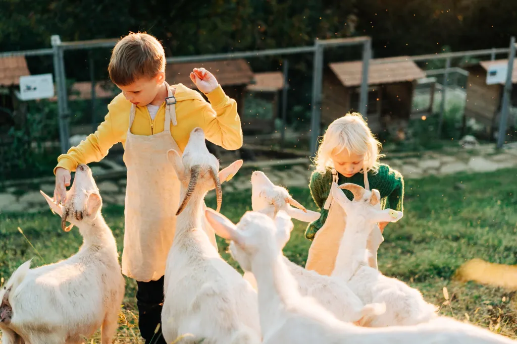Wat biedt Allgäu Skyline Park voor dierenliefhebbers?