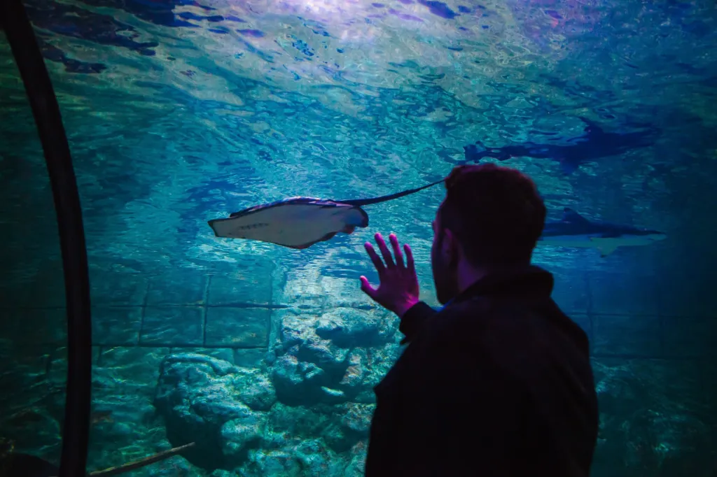 Onderwaterwereld van Eifel-Aquarium