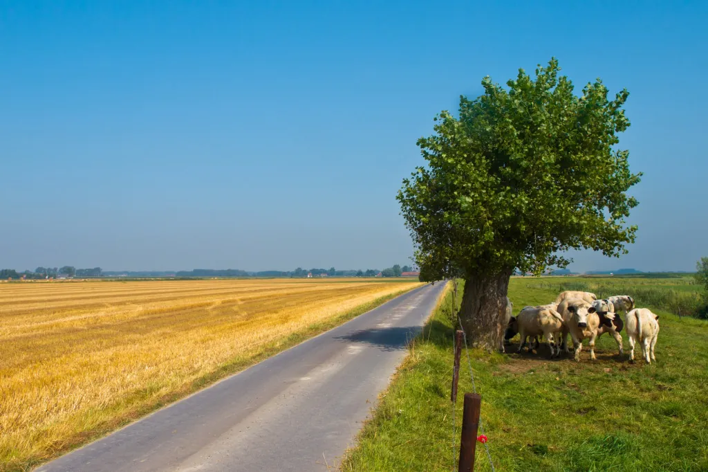 Wandelen door de polders van Zeeuws-Vlaanderen