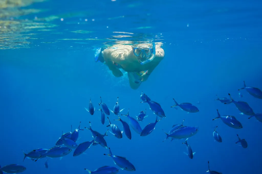 Zwem- en snorkellocaties in de Adriatische Zee bij Brijuni
