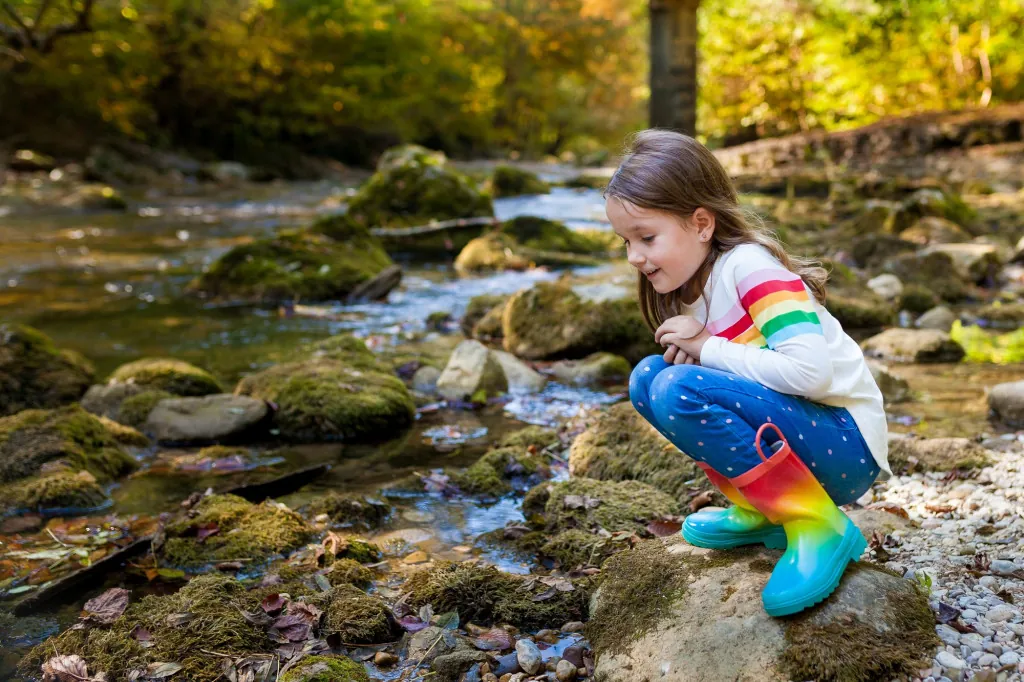 Kindvriendelijke wandelroute in Nationaal Park Beierse Woud