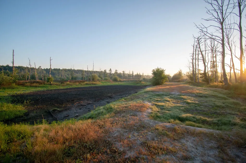 Friesland en Waddeneilanden: natuur en landschap