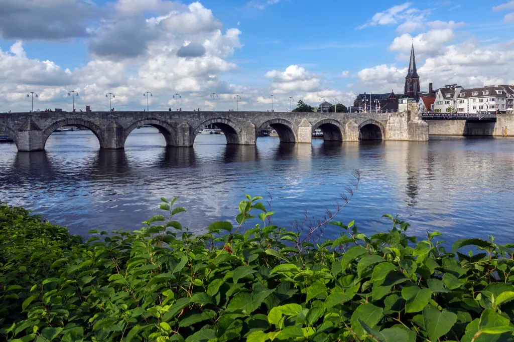 Rondvaarten op de Maas in Maastricht