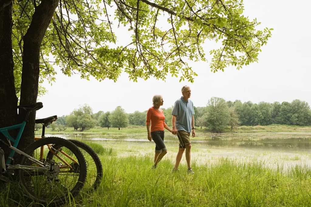 Wandelen op de Brouwersdam: routes en tips