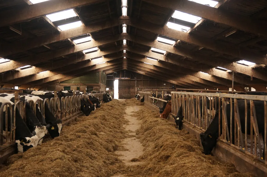 Boerderijdieren bekijken bij De Melktap