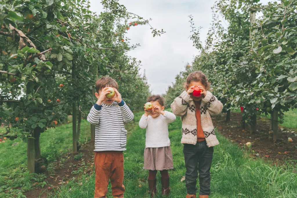 Fietsen langs bloeiende Linge-fruitbomen
