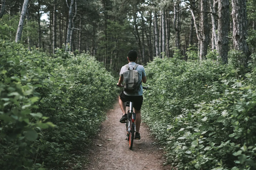 Fiets langs vennetjes en moerassen in Drents-Friese Wold