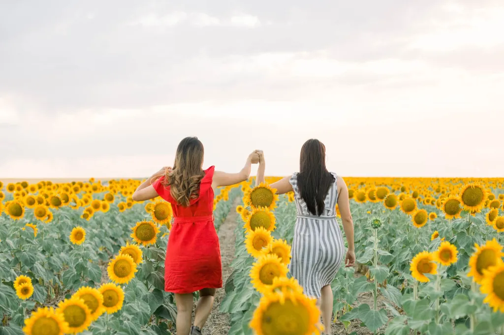 Wandelen bij zonnebloemvelden in Vienne
