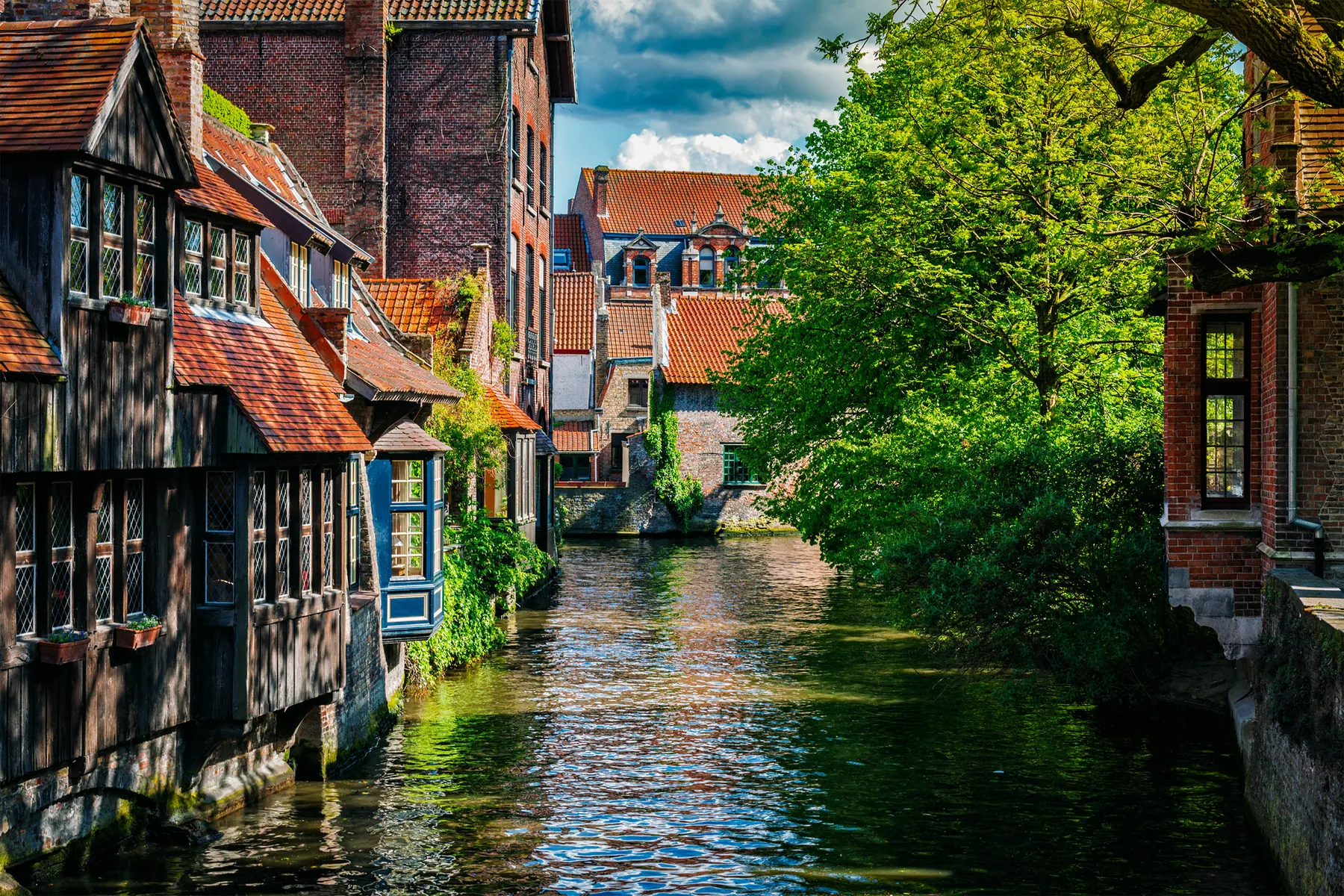Lokale markten, musea en biercafés in Brugge