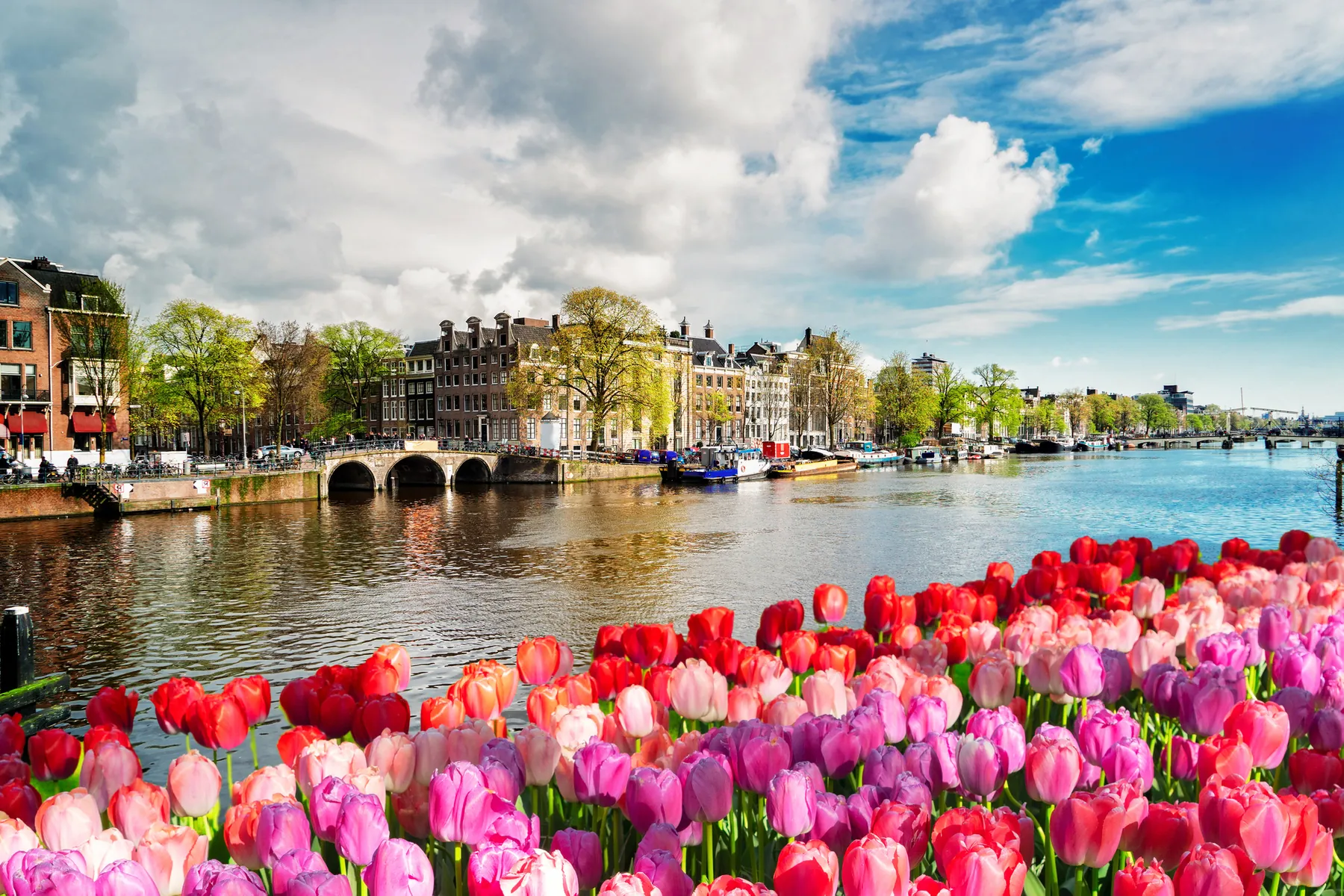 Dagtripideeën vanuit Amsterdam: natuur, dorpen en kastelen