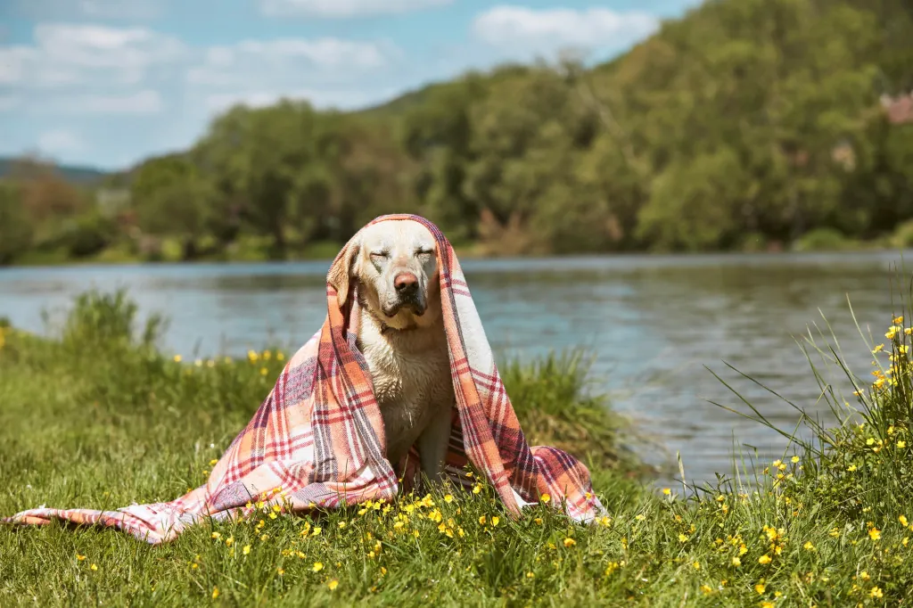 Picknickplekken bij het Lipnomeer ontdekken