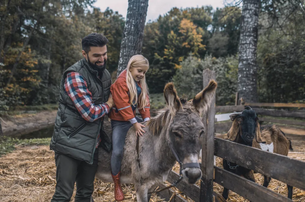 Waarom is een ezeltocht in Corfu's bergen leerzaam?