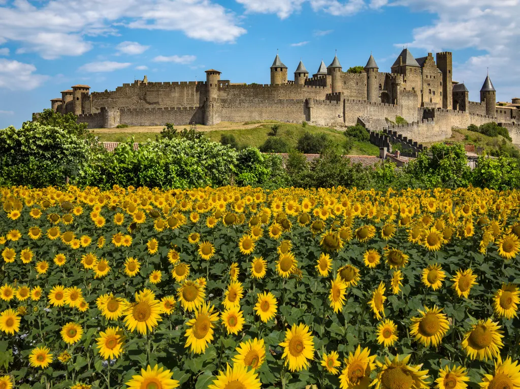 Carcassonne: een reis door de middeleeuwen