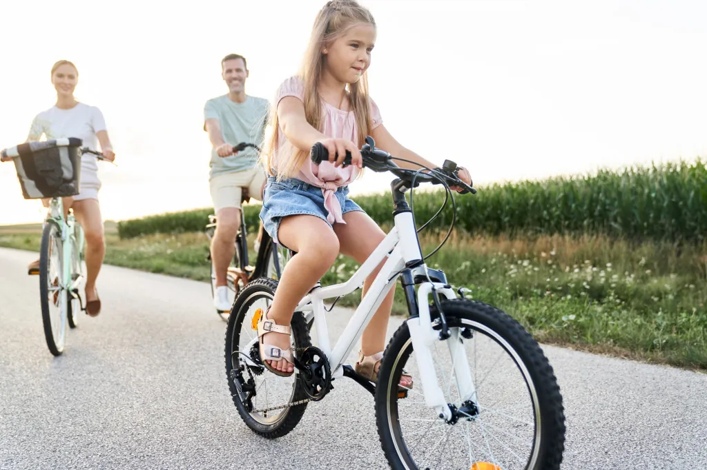 Dorpenroute voor fietsers in Westland