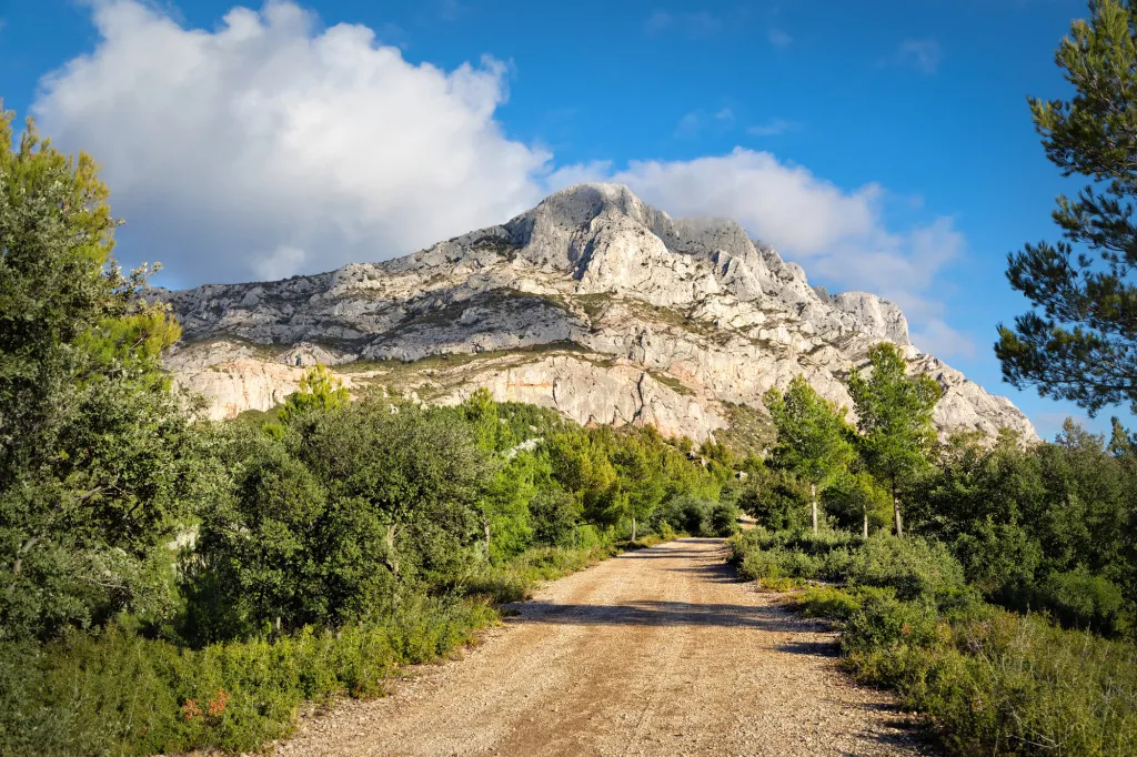 Waarom is natuurpark Montagne de Reims zo rustgevend?