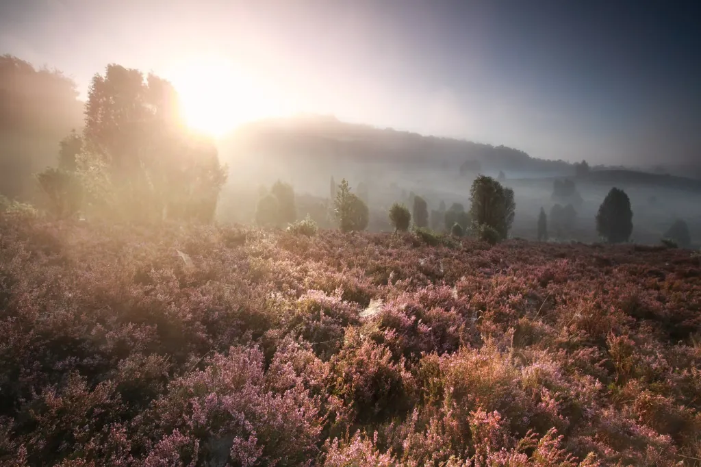 Wandeling door het Totengrund bosgebied