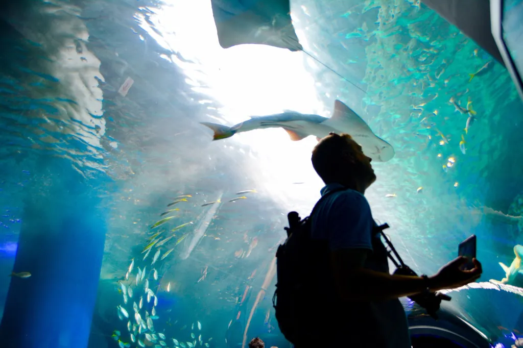 Wat is er te zien in Tropicarium Balatonfüred?